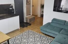 Apartament utilat si mobilat, 60 mp utili, zona Cetatii
