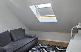 Apartament utilat si mobilat, 60 mp utili, zona Cetatii