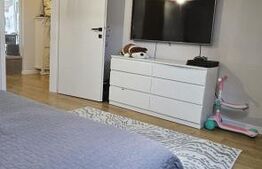 Apartament utilat si mobilat, 60 mp utili, zona Cetatii