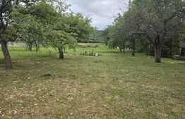 Teren intravilan cu PUZ aprobat, 855 mp, in Faget 