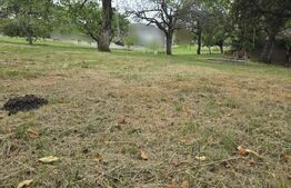 Teren intravilan cu PUZ aprobat, 855 mp, in Faget 