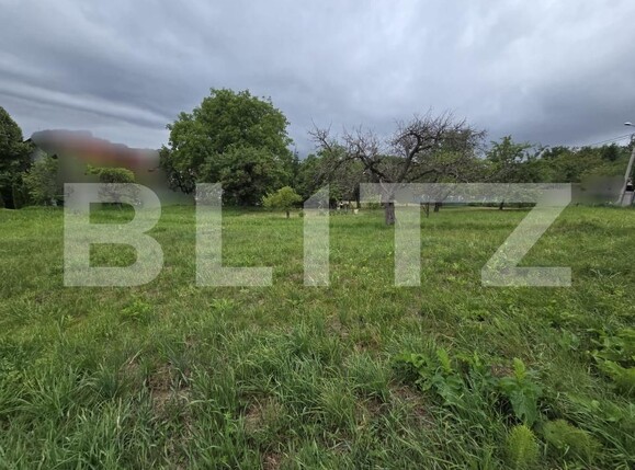 Teren de vânzare Făget - 174313TV | BLITZ Cluj-Napoca | Poza6