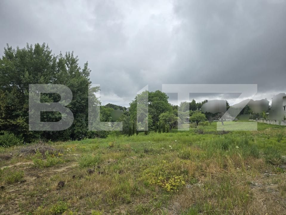 Teren de vânzare Făget - 174313TV | BLITZ Cluj-Napoca | Poza3