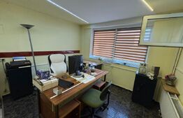 Casa individuala 5 camere, curte, pet friendly, zona Dambul Rotund