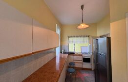 Casa individuala 5 camere, curte, pet friendly, zona Dambul Rotund