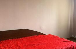 Apartament cu 2 camere, decomandat, 56 mp, balcon, zona strazii Tasnad