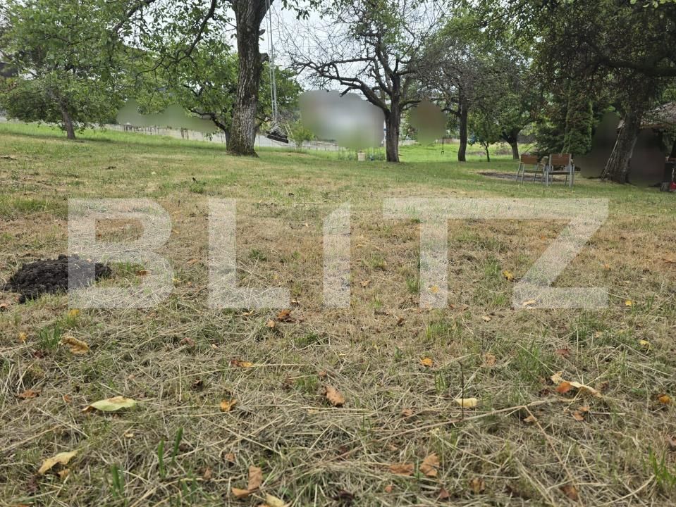 Teren de vânzare Făget - 174382TV | BLITZ Cluj-Napoca | Poza5