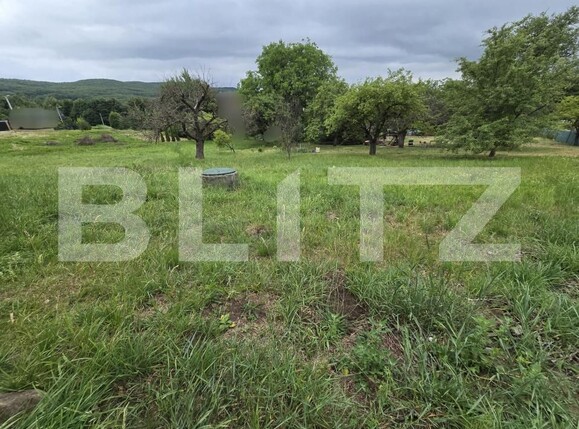 Teren de vânzare Făget - 174384TV | BLITZ Cluj-Napoca | Poza3
