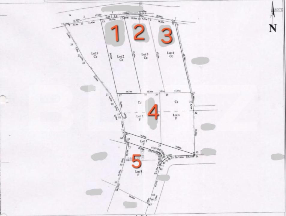 Teren de vânzare Făget - 174384TV | BLITZ Cluj-Napoca | Poza1