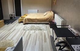 Garsoniera Piata Sfatului