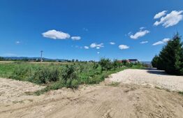 Teren 6300mp-Oportunitate investitie,zona in dezvoltare