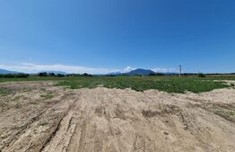 Teren 6300mp-Oportunitate investitie,zona in dezvoltare