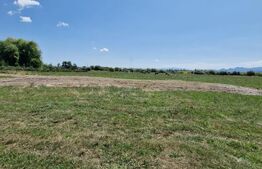 Teren 6300mp-Oportunitate investitie,zona in dezvoltare