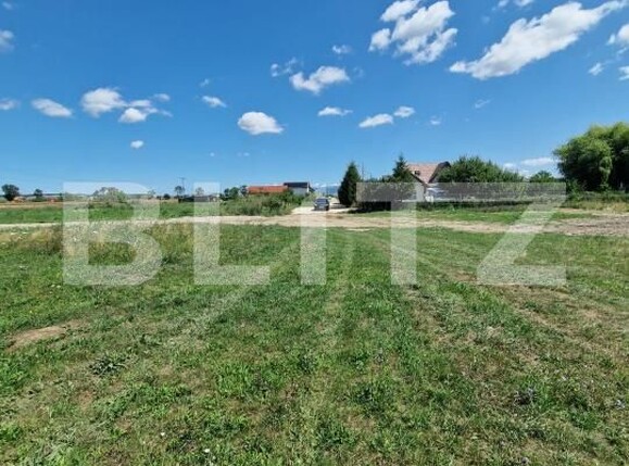 Teren de vânzare Hălchiu - 174473TV | BLITZ Brașov | Poza1