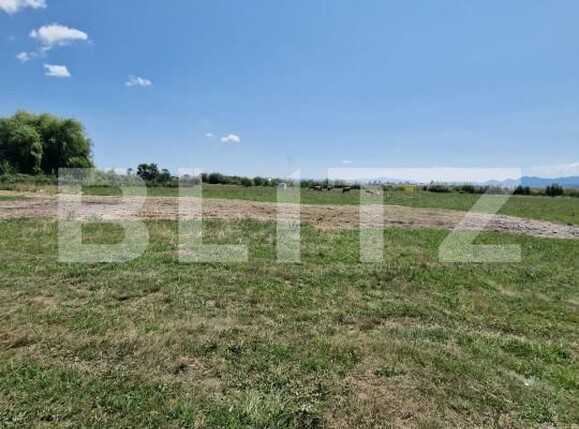 Teren de vânzare Hălchiu - 174473TV | BLITZ Brașov | Poza3