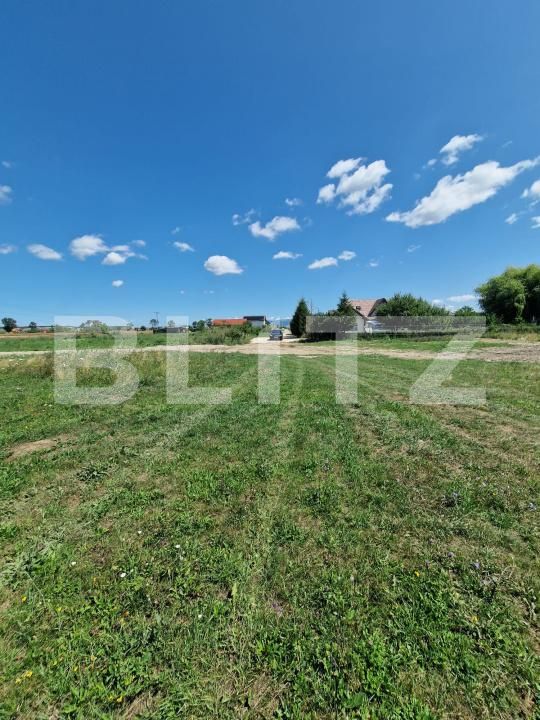 Teren de vânzare Hălchiu - 174473TV | BLITZ Brașov | Poza1