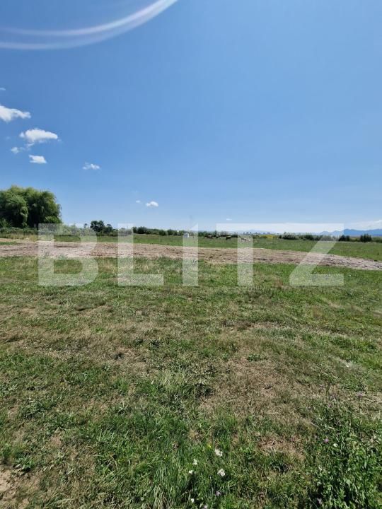 Teren de vânzare Hălchiu - 174473TV | BLITZ Brașov | Poza3