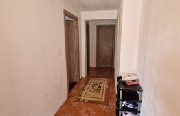 Casa parter,zona excelenta,periferie Brasov,Hălchiu 