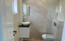 Apartament 1 camera, 22 mp, renovat, zona Marasti  