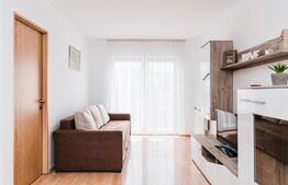 Apartament 2 camere, 60 mp, AC, zona Brancusi