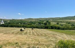 Teren intravilan, construibil in MACICASU , 3 KM de la Chinteni. 