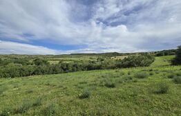Teren intravilan, construibil in MACICASU , 3 KM de la Chinteni. 
