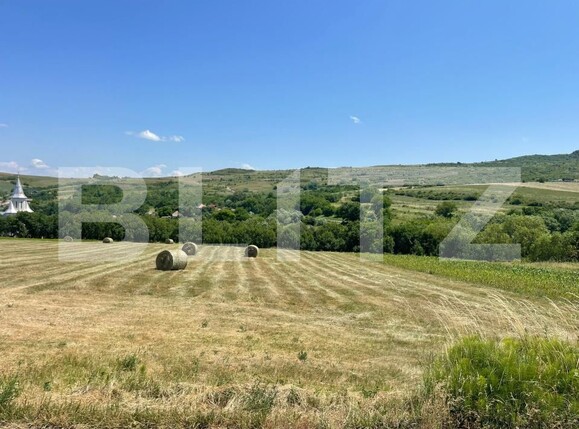 Teren de vânzare Chinteni - 174549TV | BLITZ Cluj-Napoca | Poza4