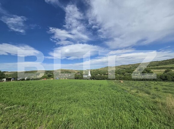 Teren de vânzare Chinteni - 174549TV | BLITZ Cluj-Napoca | Poza7