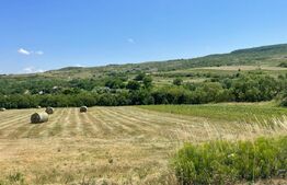 Teren intravilan, construibil in MACICASU , 3 KM de la Chinteni. 