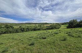 Teren intravilan, construibil in MACICASU , 3 KM de la Chinteni. 