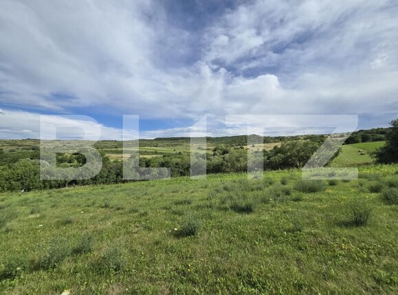 Teren de vânzare Chinteni - 174551TV | BLITZ Cluj-Napoca | Poza7