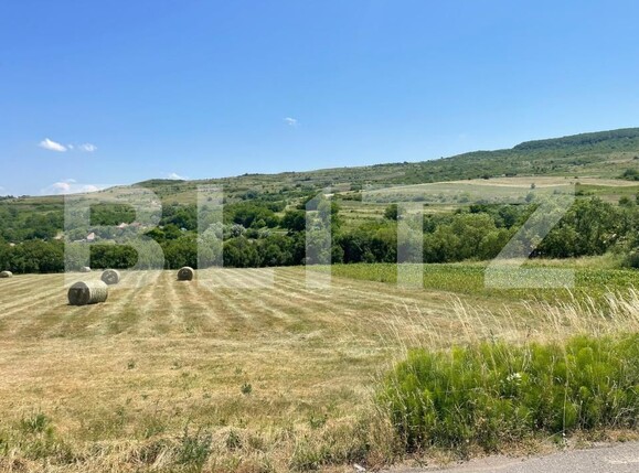 Teren de vânzare Chinteni - 174551TV | BLITZ Cluj-Napoca | Poza5