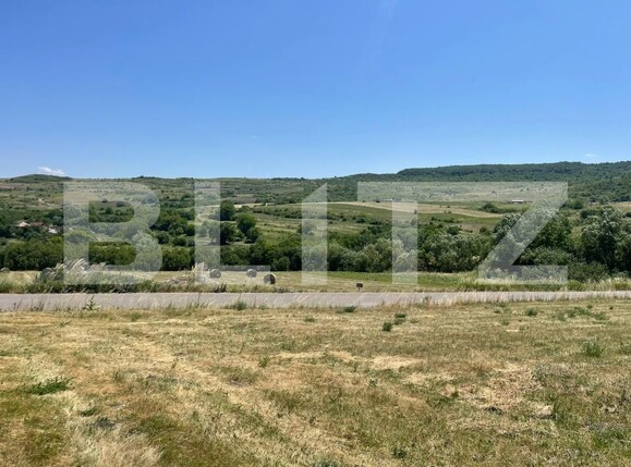 Teren de vânzare Chinteni - 174551TV | BLITZ Cluj-Napoca | Poza6