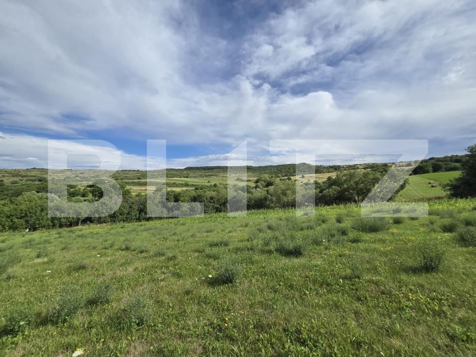 Teren de vânzare Chinteni - 174551TV | BLITZ Cluj-Napoca | Poza7