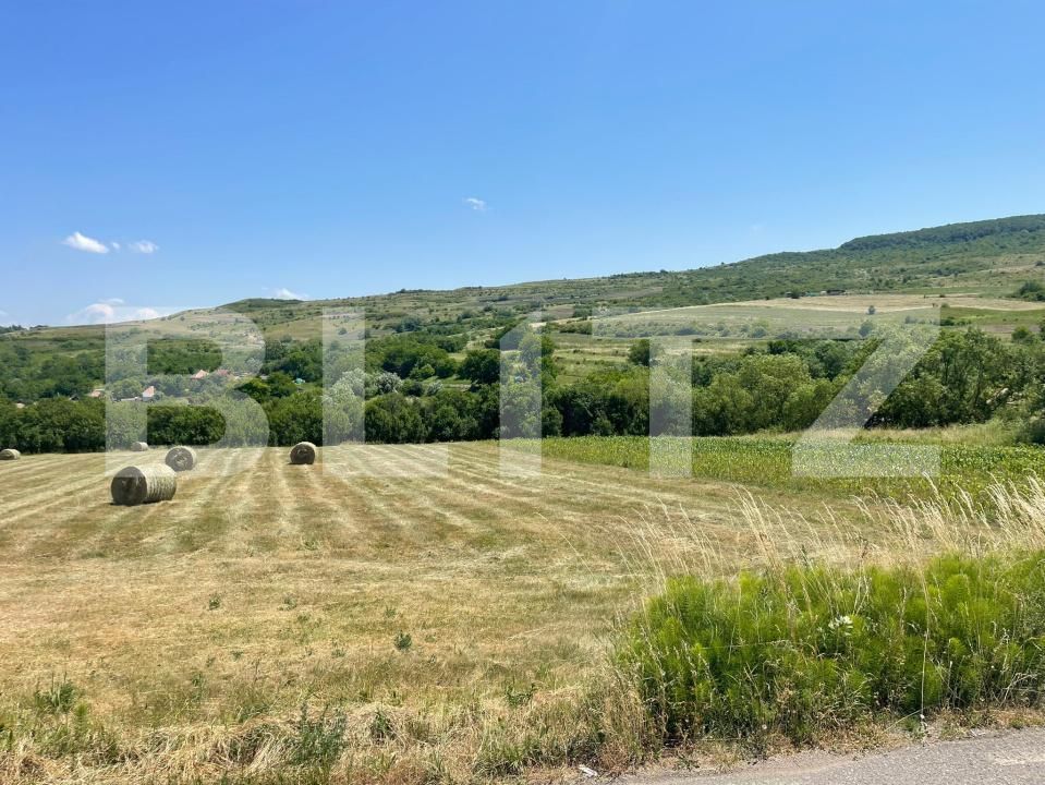 Teren de vânzare Chinteni - 174551TV | BLITZ Cluj-Napoca | Poza5