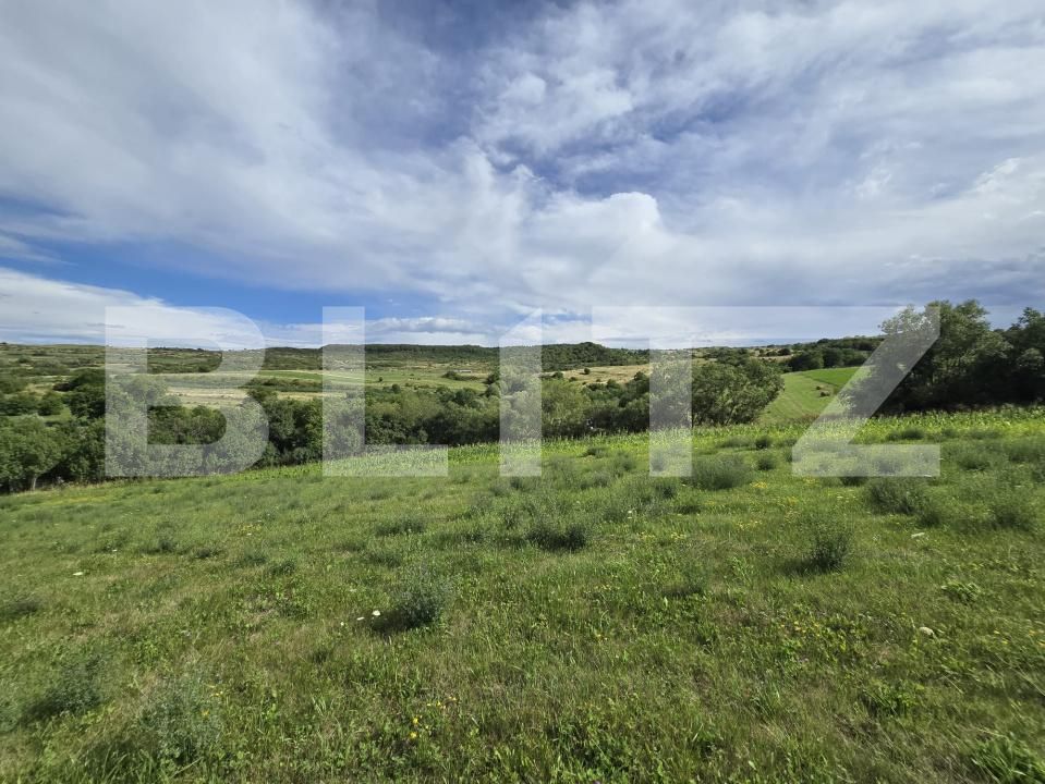 Teren de vânzare Chinteni - 174551TV | BLITZ Cluj-Napoca | Poza4