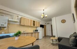 Apartament cu 2 camere, mobilat si utilat, parcare, zona strazii Stadionului