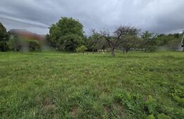 Teren intravilan cu PUZ aprobat, 801 mp, in Faget Lot 5 