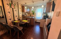Apartament 2 camere, 50 mp + balcon inchis, 2 locuri de parcare, Astra