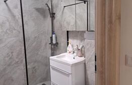 Apartament cu 2 camere, 48 mp, complet renovat, zona Grigorescu