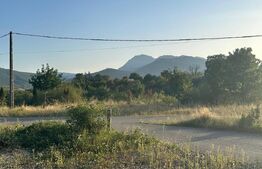 Teren 5.800 mp cu utilități și construcții existente–Oportunitate de investiție!