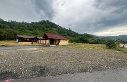 Teren 5.800 mp cu utilități și construcții existente–Oportunitate de investiție!