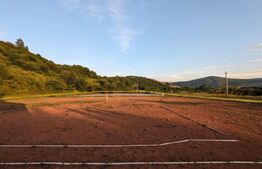 Teren 5.800 mp cu utilități și construcții existente–Oportunitate de investiție!