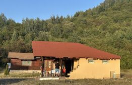 Teren 5.800 mp cu utilități și construcții existente–Oportunitate de investiție!