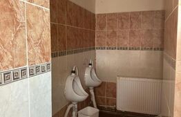 Teren 5.800 mp cu utilități și construcții existente–Oportunitate de investiție!