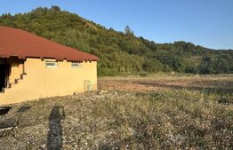 Teren 5.800 mp cu utilități și construcții existente–Oportunitate de investiție!