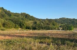 Teren 5.800 mp cu utilități și construcții existente–Oportunitate de investiție!