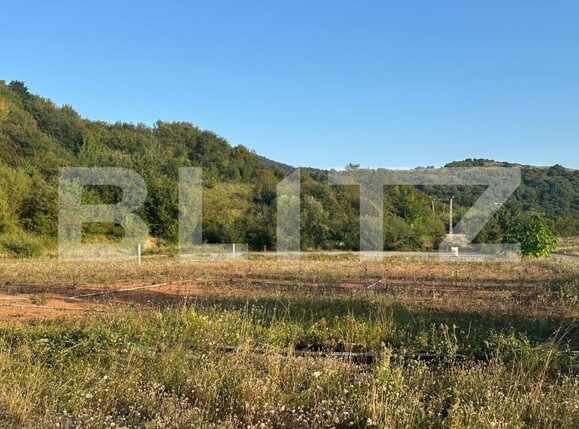 Teren de vânzare Tarlungeni - 174633TV | BLITZ Brașov | Poza2