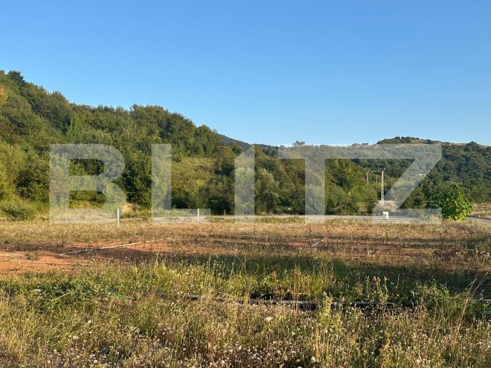 Teren de vânzare Tarlungeni - 174633TV | BLITZ Brașov | Poza2