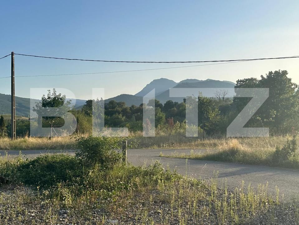 Teren de vânzare Tarlungeni - 174633TV | BLITZ Brașov | Poza3